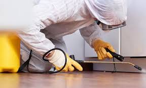 Real Estate Pest Inspections in Rochelle, GA